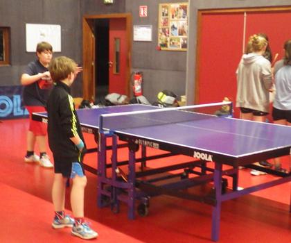 Départementaux individuels en tennis de table