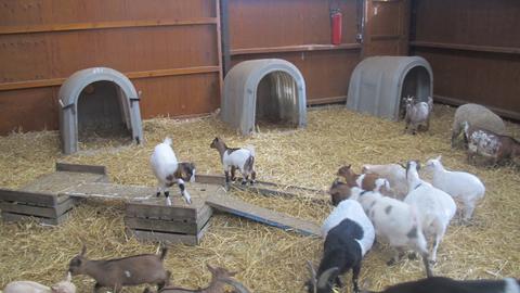Ferme