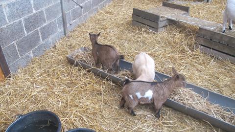 Ferme 2