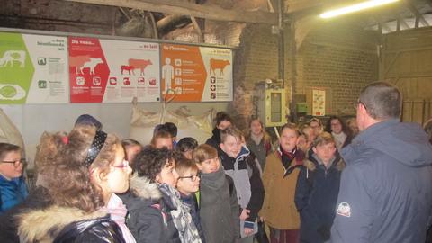 Ferme 8