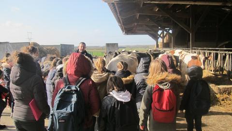 Ferme 10