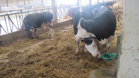 Ferme 14