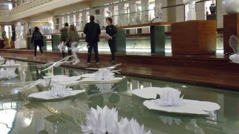 piscine patinoire 13