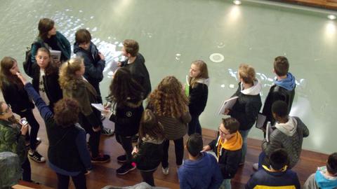 piscine patinoire 38
