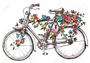 velo 8