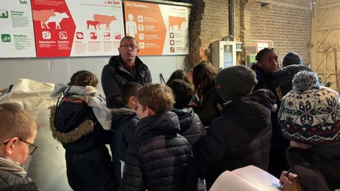 Ferme 6
