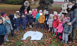 Chasse à l'ours