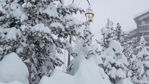 IMG-20211208-WA0015