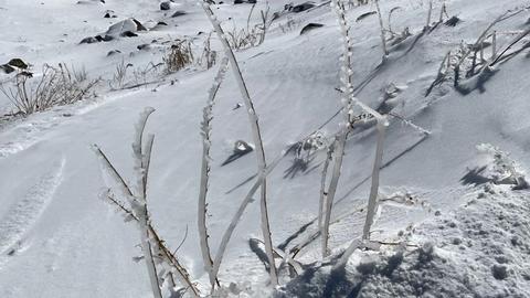 IMG-20221206-WA0015