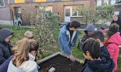 Potager connecté avec les CE2 et l'IMT