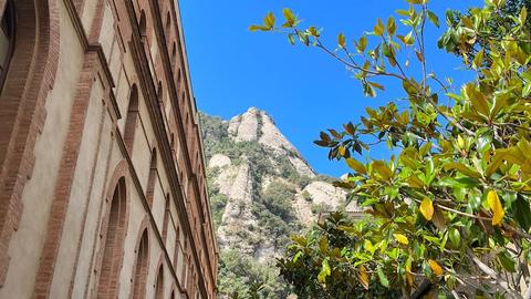 IMG-20230614-WA0013
