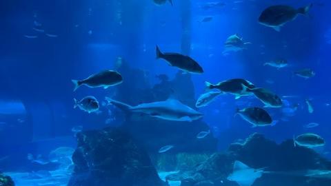 IMG-20230616-WA0013