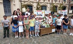 Visite de l'exposition des carrés potagers