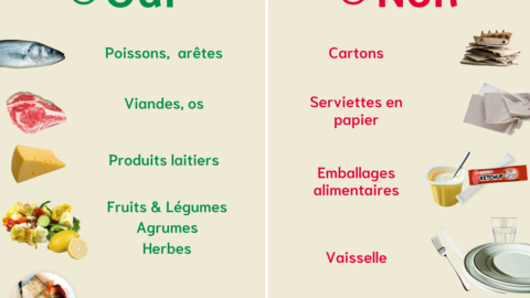 TRI Dechets Alimentaires - explication