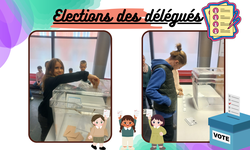 Elections des délégués