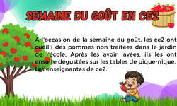Semaine du goût en CE2