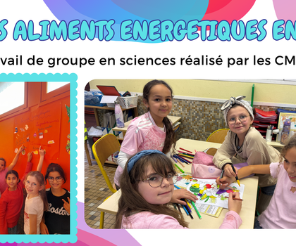 Les aliments énergétiques en CM1